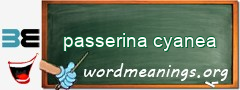 WordMeaning blackboard for passerina cyanea